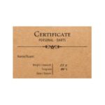 EK darts Certificate