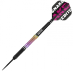 Peter Wright Snakebite World Champion 2020 Edition Red Dragon - Afbeelding 2
