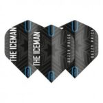 Reddragon flights Hardcore Gerwyn Price Black & Grey Snowflake