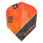 Vision Ultra Player Raymond van Barneveld G4 TenX