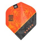 Vision Ultra Player Raymond van Barneveld G4 std