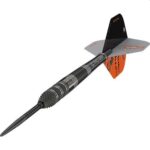Target Raymond van Barneveld X Echo Swiss Point 95% - Afbeelding 2